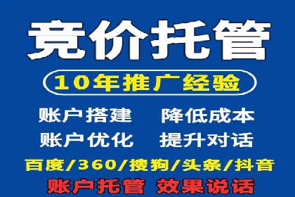 网络推广竞价策略案例分析